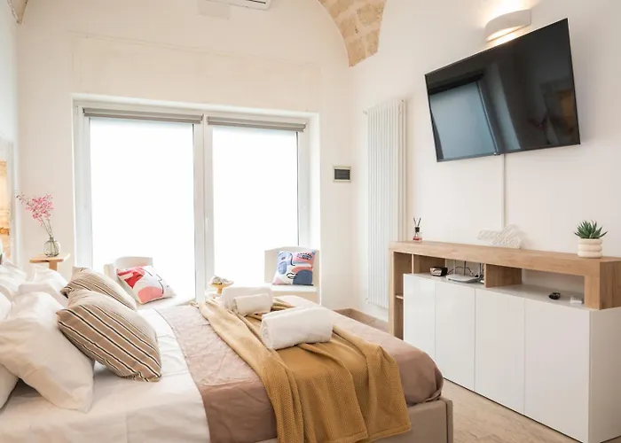 Loft Giandi 公寓 奥斯图尼